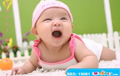 Nhạc thiếu nhi: Cây trúc xinh - Xuân Mai