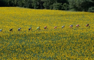 Video Tour de France 2014 Highlights: Chặng 16 đến 21 - Carcassonne tới Paris Champs-Élysées
