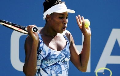 Chú ong vào sân quấy rối giải Mỹ mở rộng