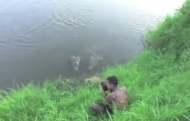 VIDEO: Suýt bị cá sấu 'làm thịt' vì chủ quan