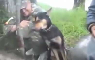 VIDEO: Khi loài c-hó say rượu