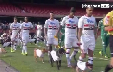 VIDEO: Hài hước CLB của Kaka dắt chó ra sân để làm nghi lễ trước trận đấu