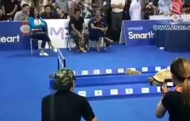 VIDEO: Cuộc chạy đua giữa thỏ và rùa ngoài đời thực