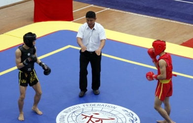 Wushu Việt Nam giành 4HCV châu Á, Tuấn Đức/Như Thảo vượt khó