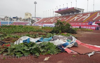 CĐV Đông Nam Á châm biếm khi thấy sân Lạch Tray trồng rau sau gôn