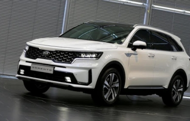 Xe được yêu thích nhất năm 2021: Seltos, Fadil, Sorento tranh ngôi đầu