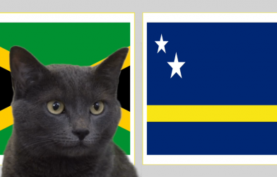 Mèo tiên tri dự đoán kết quả Jamaica vs Curacao: Khó cho ĐKVĐ King's Cup