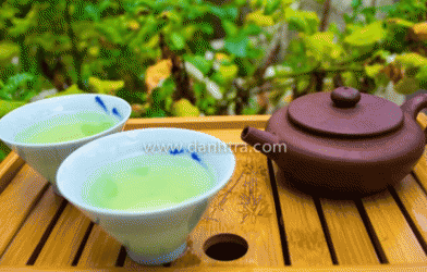 Khám phá địa chỉ mua Trà Thái Nguyên chuẩn ngon