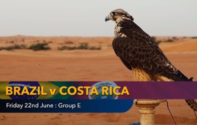 Tiên tri dự đoán kết quả, tỉ số Brazil vs Costa Rica