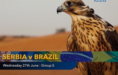 Nhà tiên tri dự đoán dự đoán kết quả Brazil vs Serbia