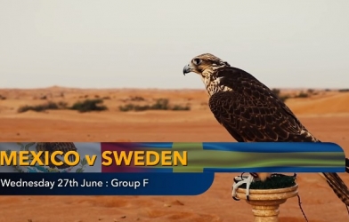 Nhà tiên tri dự đoán kết quả Mexico vs Thụy Điển: Chia tay cay đắng
