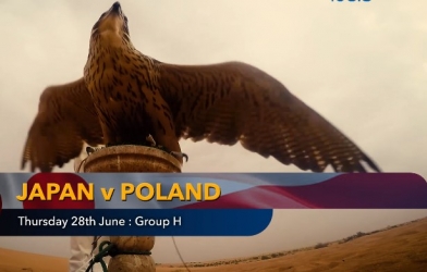 Nhà tiên tri dự đoán kết quả Nhật Bản vs Ba Lan: Cú sốc