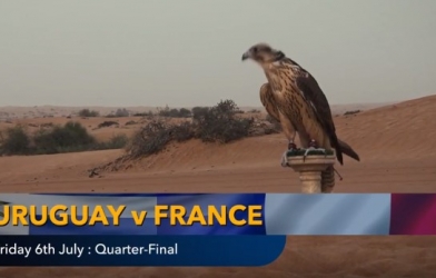 Nhà tiên tri dự đoán kết quả Pháp vs Uruguay: Tiên tri gây sốc