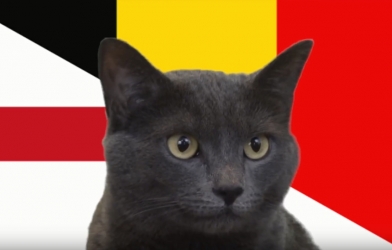 Mèo tiên tri dự đoán kết quả Anh vs Bỉ: Lựa chọn tối ưu