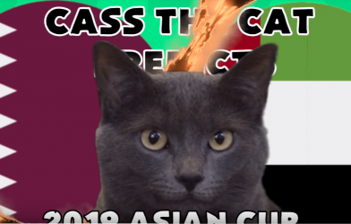 VIDEO: Mèo tiên tri dự đoán kết quả UAE vs Qatar