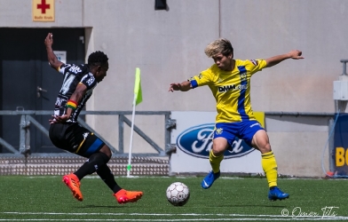 Sint Truiden vs Waregem: Đội bóng Bỉ kỳ vọng Công Phượng