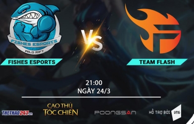 Fish Esports vs Team Flash: Tứ kết là 'cá mập', bán kết thành 'cá con'?