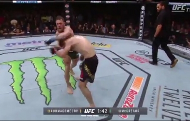 VIDEO Cho thấy Khabib đã 'biết thừa' chiến thuật của Conor tại UFC 229