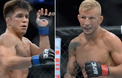 TJ Dillashaw 'được trả cả đống tiền để diệt Flyweight', Henry Cejudo rời UFC nếu bỏ hạng cân này? 