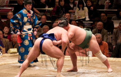 Nặng hơn 100kg, sumo có thể đi 'máy bay' như thế nào?