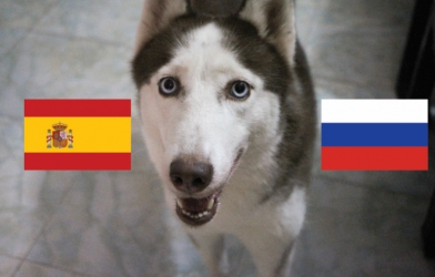 Chó tiên tri Loki dự đoán kết quả Tây Ban Nha vs Nga: Chuẩn xác