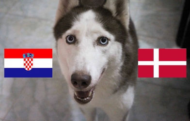 Chó tiên tri Loki dự đoán kết quả Croatia vs Đan Mạch