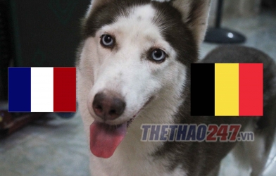 Tiên tri Loki tái xuất, dự đoán bán kết Pháp vs Bỉ: Bất ngờ