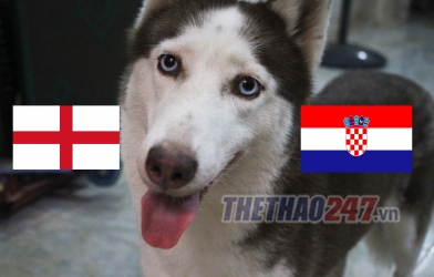 Tiên tri Loki tái xuất, dự đoán kết quả World Cup: Anh vs Croatia