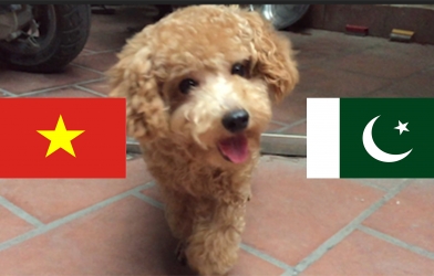 Chó tiên tri Hulk dự đoán kết quả Việt Nam vs Pakistan: Niềm vui nho nhỏ