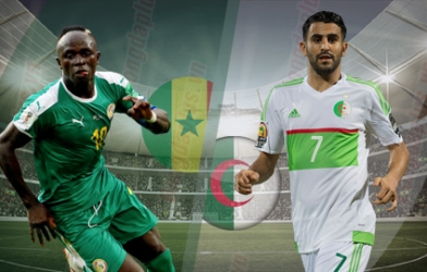 Lịch thi đấu chung kết CAN 2019: Cáo sa mạc đại chiến Sư tử Teranga