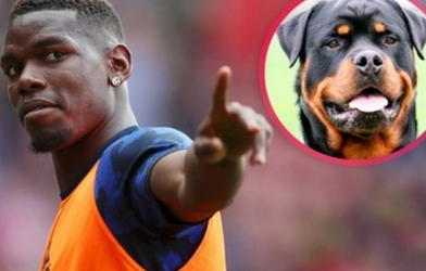 Pogba chi hơn 400 triệu chỉ để có thêm 'bạn mới'
