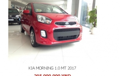  2 ô tô 5 chỗ giảm giá về mốc dưới 300 triệu tại Việt Nam