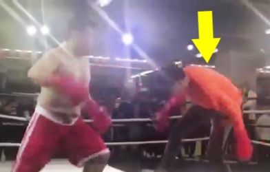 Cao thủ Bát Quái Chưởng bị võ sĩ MMA đánh cho 'lên bờ xuống ruộng'