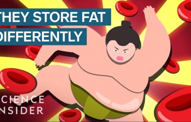 VIDEO: Sự thật ít người biết về sức khỏe của những võ sĩ Sumo