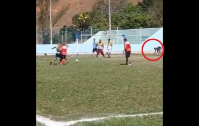 VIDEO: Cầu thủ 'ăn rùa' nhất năm và bàn thắng 'từ trên trời rơi xuống'