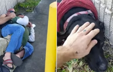 Đánh cún, gã đàn ông nhận bài học đắt giá từ võ sư đai đen