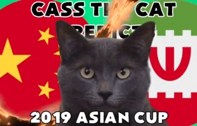 VIDEO: Mèo tiên tri dự đoán trận Trung Quốc vs Iran