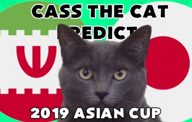 VIDEO: Mèo tiên tri dự đoán trận Iran vs Nhật Bản
