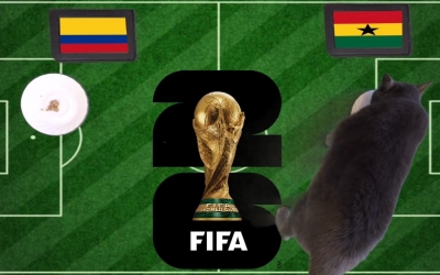 Mèo tiên tri dự đoán tỷ số Colombia vs Ghana: Đau đớn cho Colombia!