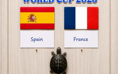 Thần rùa hiển linh dự đoán Pháp vs Tây Ban Nha - World Cup 2026