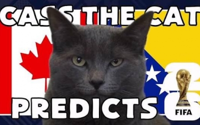 Mèo tiên tri dự đoán tỷ số Canada vs Bosnia-Herzegovina cực khó tin