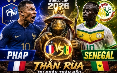 Thần rùa dự đoán tỷ số Pháp vs Senegal: Không hề vượt trội