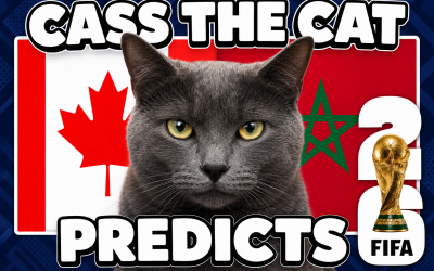 Mèo tiên tri dự đoán Canada vs Morocco: Quá khủng khiếp!