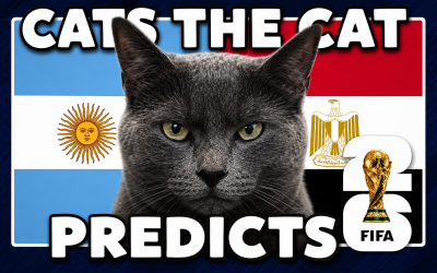 Mèo tiên tri dự đoán Argentina vs Ai Cập: Ai dám nghĩ khác!