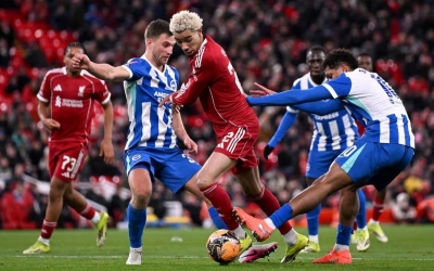 Trực tiếp Liverpool vs Brighton: Sẵn sàng khai cuộc
