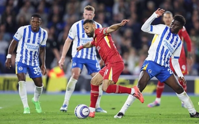 Trực tiếp Brighton 0-0 Liverpool: Khởi đầu hứa hẹn