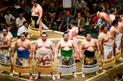 Vì sao các võ sĩ Sumo không thuộc vào nhóm người 'béo phì'?