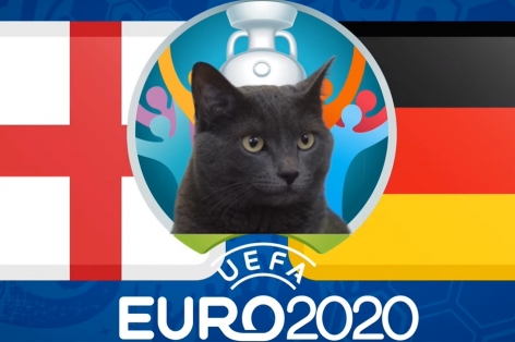 Mèo tiên tri dự đoán Anh vs Đức: Gợi ý đáng lưu tâm