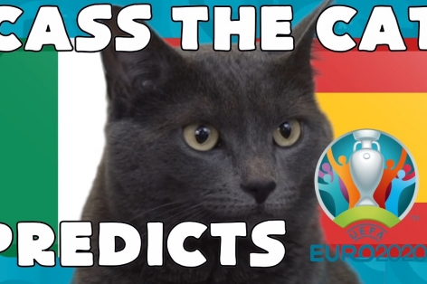 Mèo tiên tri dự đoán kết quả Ý vs Tây Ban Nha: Không thể sai sót!