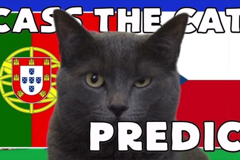 Mèo tiên tri dự đoán trận Bồ Đào Nha vs CH Séc: Sốc toàn tập!